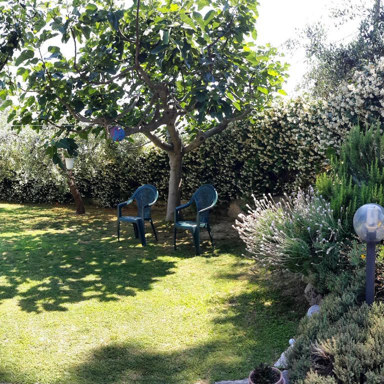 B&B L'Albero Di Antonia Atri Exteriör bild